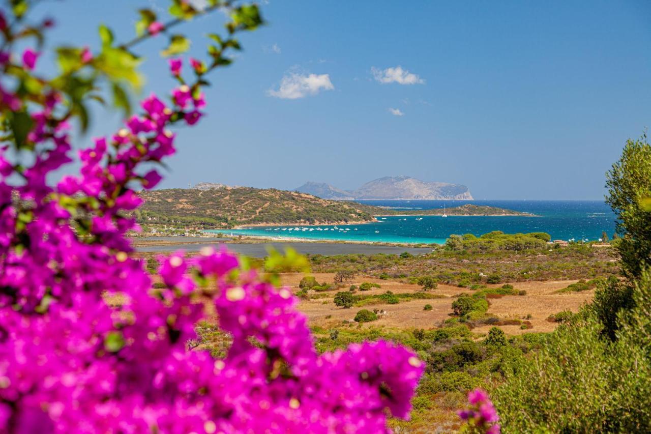 Residence Hotel Lu Nibareddu San Teodoro  Esterno foto
